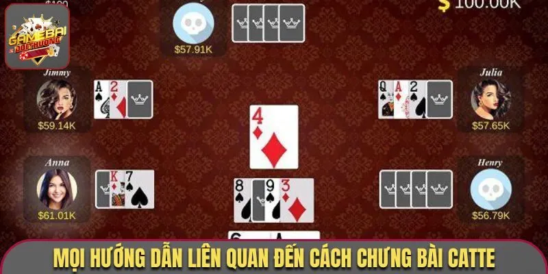 Cách chưng bài catte