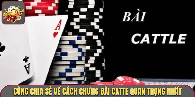 Cùng chia sẻ về cách Chưng bài Catte quan trọng nhất